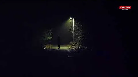 Wild Berlin - Where wild boars and civilization meet