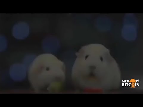 câte bitcoini pe zi metoda liniei de tendință