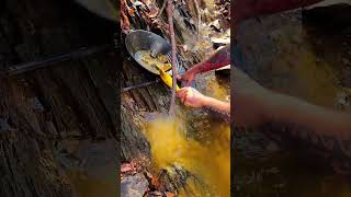 VA Gold Prospecting #goldprospecting #goldnugget #goldpanning #findinggold #oro #gold #goldrush #au screenshot 1