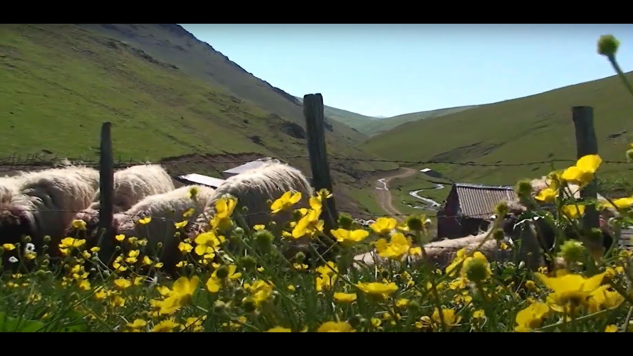 Giresunda Yayla Kültürü