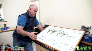 CROPS WATCH: Examining roots on winter cereals