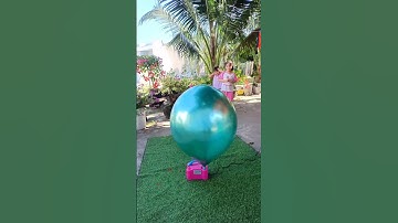 Bong bóng siêu khổng lồ nổ bất ngờ😱#balloon #bongbong #shorts