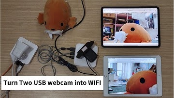 Turn dual USB webcam into WIFI connection!