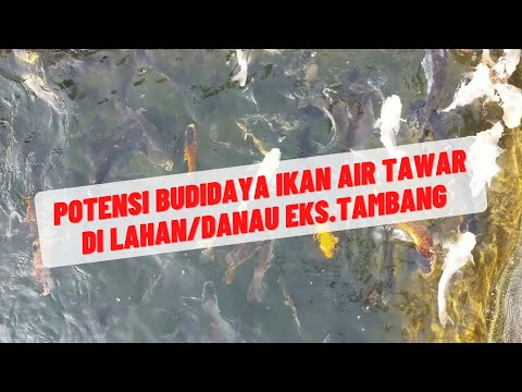 Video: Roh Danau Mencuri Semua Ikan Dari Petani - Pandangan Alternatif