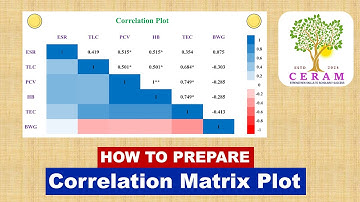 How to Make Correlation Matrix Plot in SPSS | Excel | PowerPoint | Journal Friendly Color Figure