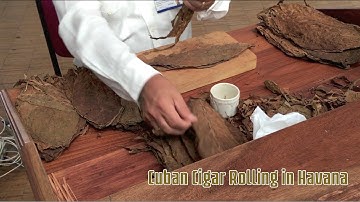 Cuban Cigar Rolling In Havana