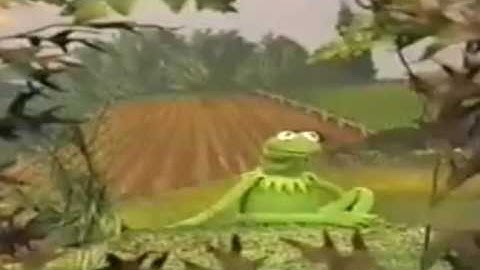 Kermit The Frog-It