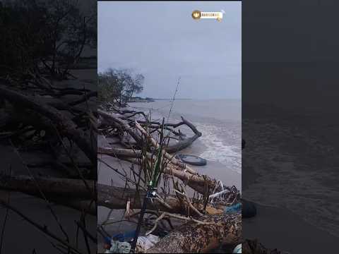 Laut ngajarin arti sabar