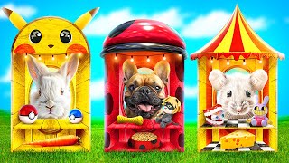 Tek Renkli Evcil Hayvan Evi Yarışması! LadyBug vs Pomni vs Pokemon