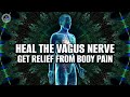 Heal The Vagus Nerve &amp; Activate The Nervous System | Get Relief From Body Pain &amp; Inflammation -174hz