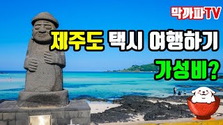 택시 타고 제주도 여행은 어떨까??