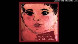 06.Provincialii - Ochi de catifea