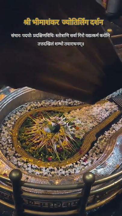 lord shiva powerful mantra|shiva jyotirlinga status|बाबा भीमाशंकर ज्योतिर्लिंग दिव्यदर्शन|#shorts