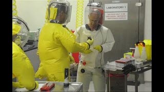 Research on bats could help develop drugs against Ebola