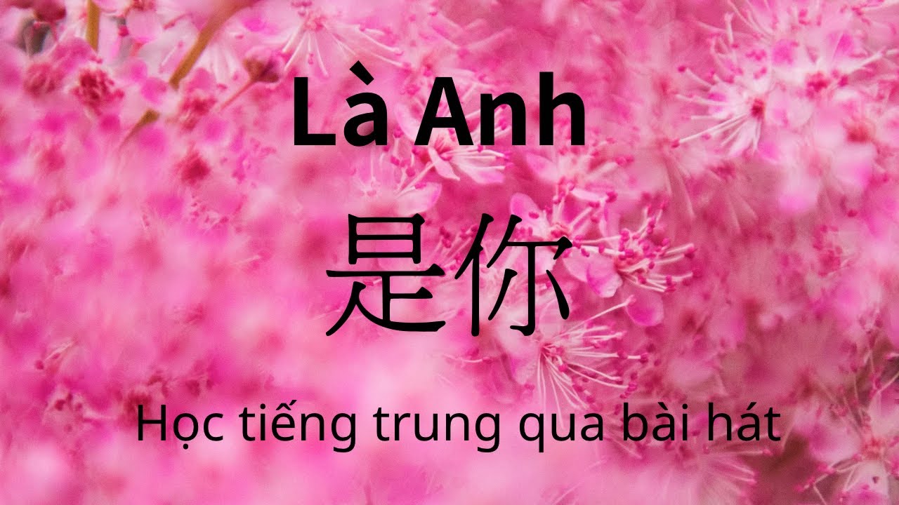 是你Là Anh (夢然Mộng Nhiên)Học tiếng trung qua bài hát