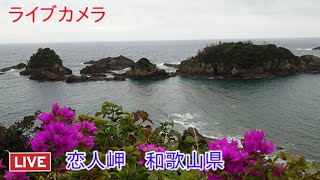 ライブカメラ　恋人岬　和歌山県