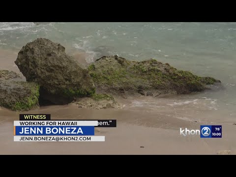 Man dies during Hawaiʻi honeymoon as bag, car stolen