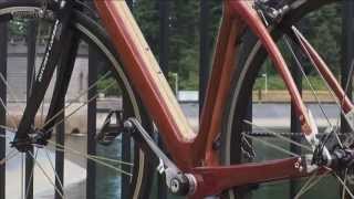Деревянный велосипед Discovery  TechToys 360 Техноигрушки ч 5-6)