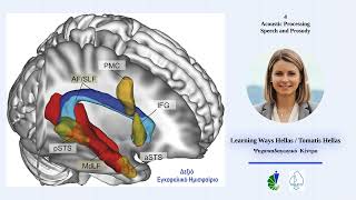 Auditory Processing Disorder and TOMATIS Method - EN