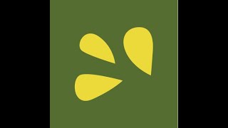 Physician Basics - Starting Patient Visits in GreenOliveEHR