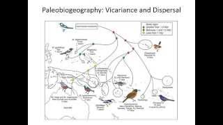 Biogeography: vicariance and dispersal