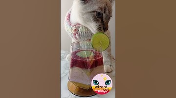 Elixir 05: Ascend to new heights and high vibes. Subscribe for a daily dose of Mewgic.