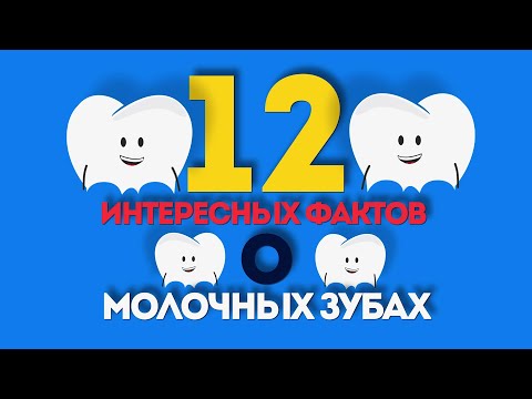 12 интересных фактов о молочных зубах