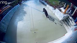 DOG runs over FRESHLY CONCRETED SURFACE