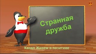 Странная дружба. Самые необычные друзья Странная дружба. Самые необычные друзья