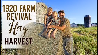 Our First Hay Harvest!