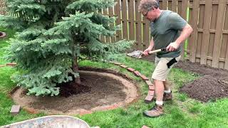 Brick Edging Around Tree