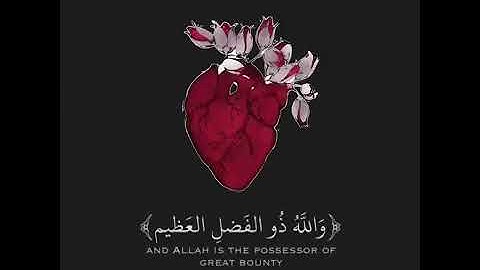 قران كريم بصوت الشيخ وديع اليماني💙حالات واتس اب قران❤اجمل حالات واتس اب دينية😴تلاوة مؤثرة