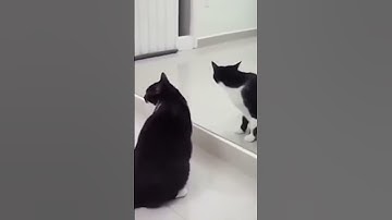The glitch in the matrix was captured on camera #scary #scarystories #monster