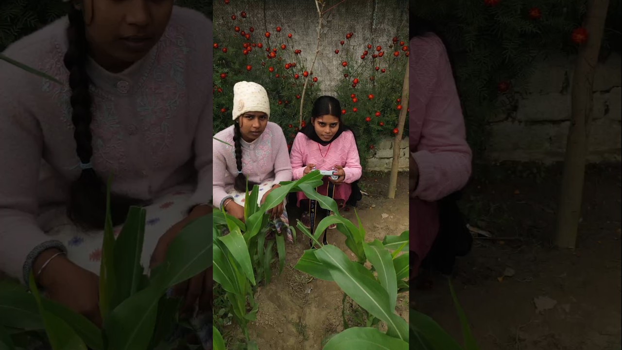 First time Fly Drone || DJI Mini 3 drone || Rocket short 