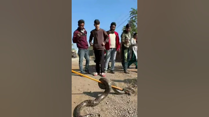 Etna Bada Snake 🐍 Pakad Liya 😯