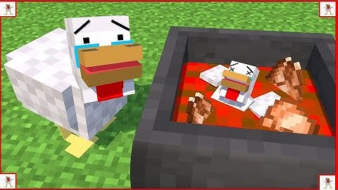 BOBBY THE CHICKEN (Unspecified SMP)