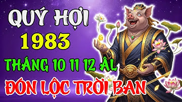 Tử Vi Tháng 10 – 11 – 12 Âm 2025 Tuổi Quý Hợi 1983 | Tài Lộc Bùng Nổ, Cơ Hội Vàng Liên Tiếp Gõ Cửa