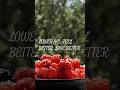 The BEST &amp; WORST  Healthy  Foods for Blood Sugar Control
