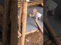 Cute Baby Monkey Climbing Bamboo  Playing with Toys |Funny Monkey Video 🐒 |Latakta Monkey TV #Shorts