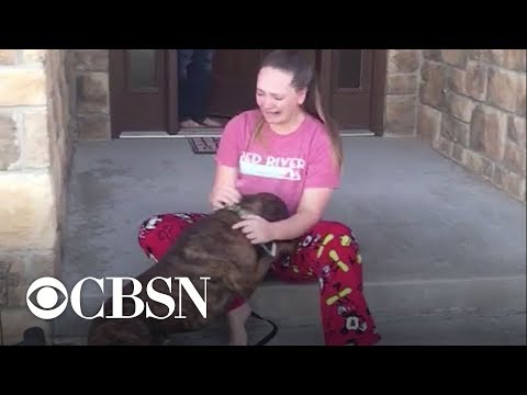 Video: Sebelumnya Shelter Dog yang Dipimpin Membawa Adopternya ke Naked, Freezing Balita