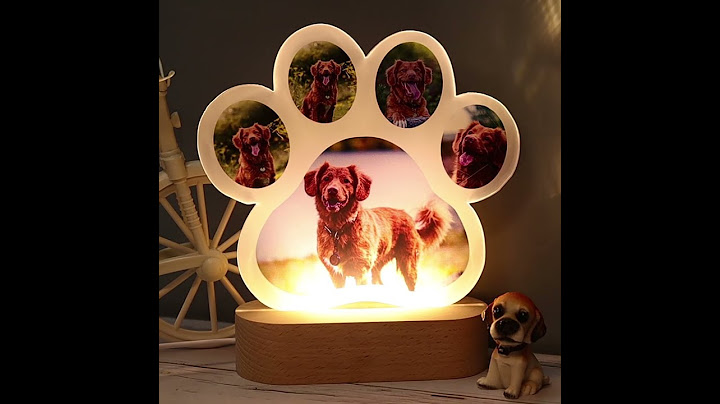 Custom dog paw acrylic lamp-personalized gifts
