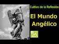 El Mundo Angélico | Cultivo de la Reflexión | P. Santiago Manso