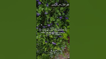 فَوَرَبِّكَ لَنَسۡـَٔلَنَّهُمۡ أَجۡمَعِینَ | سورة الحجر | القارئ راشد الحليبة