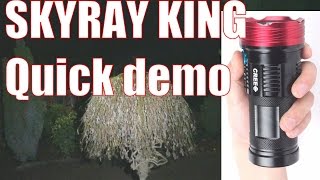 Quick Demo of the SkyRay King 9T6 Flashlight Torch