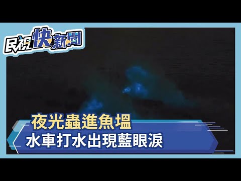 夜光蟲進魚塭 水車打水出現藍眼淚－民視新聞