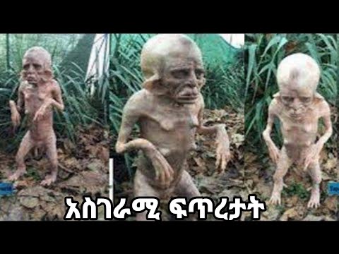 ቪዲዮ: ስበት በምድር ላይ ዜሮ የት ነው?