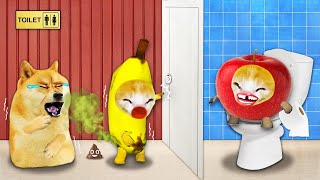 Banana Cat Needs To Poop...Open The Toilet Door, Please! 🐱 Baby Banana Cat Compilation | Cat MEME 😿