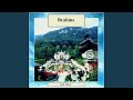 Miniature de la vidéo de la chanson Piano Concerto No. 2: Allegro