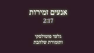 Video thumbnail of "אנעים זמירות l תזמורת שלהבת - Shalhevet Orchestra - Anim Zemirot"