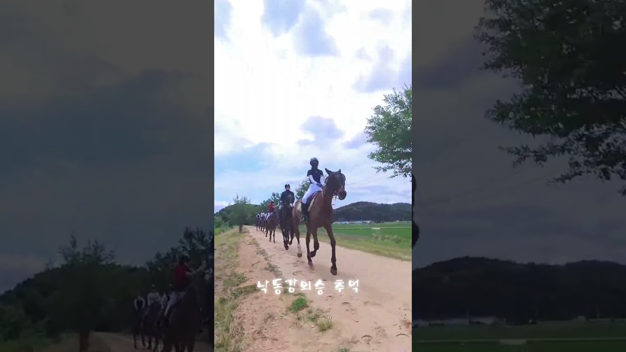 #외승 #안전한승마길 #초보외승가능 #승마 #낙동강외승 #조인외승